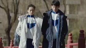 国产电视剧私货在线观看,在线观看背后的故事与启示