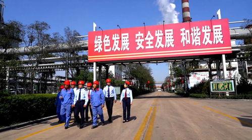 国产自在拍500部在线,盘点经典影视作品，重温光影岁月